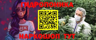 дмт Гагарин