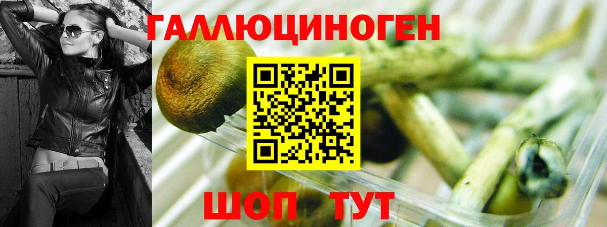 Белебей  Галлюциногенные грибы MAGIC MUSHROOMS  Вход с VPN 
